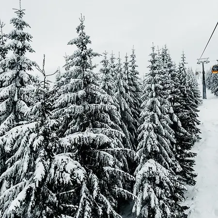 Elements Hotel&spa 5* Świeradów-Zdrój