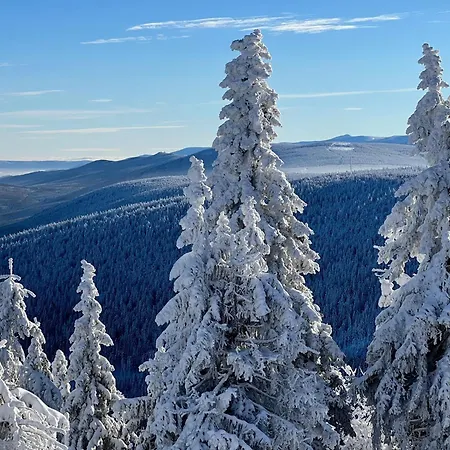 Elements Hotel&spa Hotell 5*